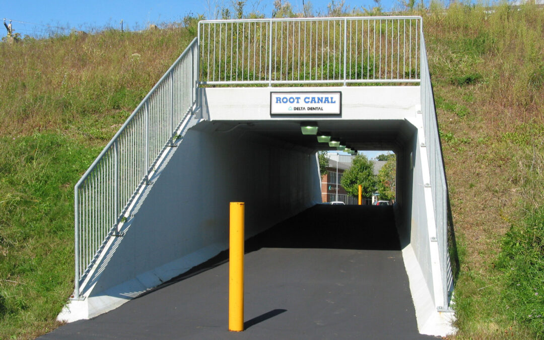 Northeast Delta Dental Underpass